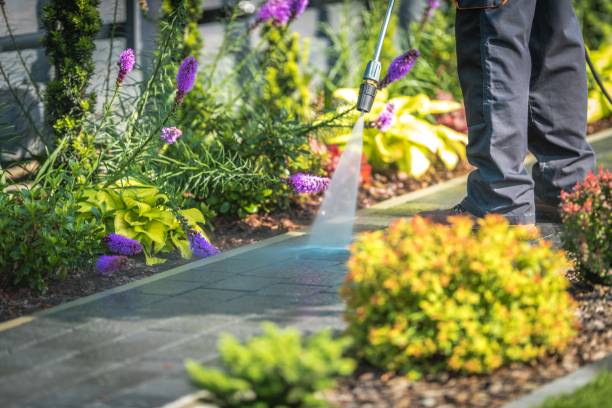 Best Driveway Cleaning and Restoration in Pleasant View, UT